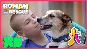 Kid Who Rescued 4,200+ Dogs Gets His Own Show on Disney XD and Hulu
