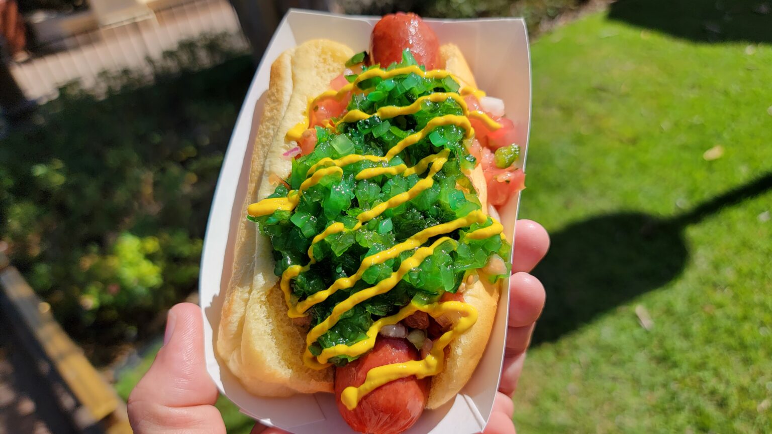 Dig into an allnew Chicago Dog at Caseys Corner (Or Not!) Chip and