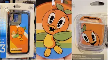 Super Cute Orange Bird Tupperware Spotted At Epcot!