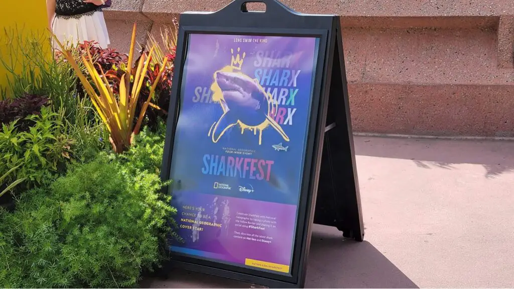 Nat Geo Celebrates Sharkfest at Disney Parks and Resorts