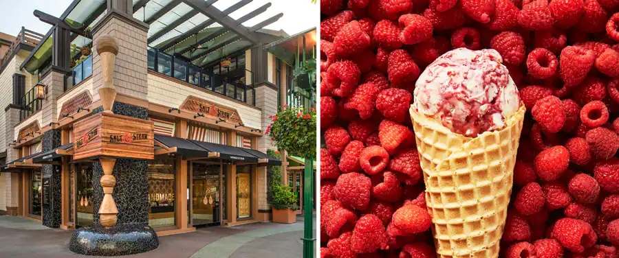 New Tasty Treats & More coming your way at the Disneyland Resort