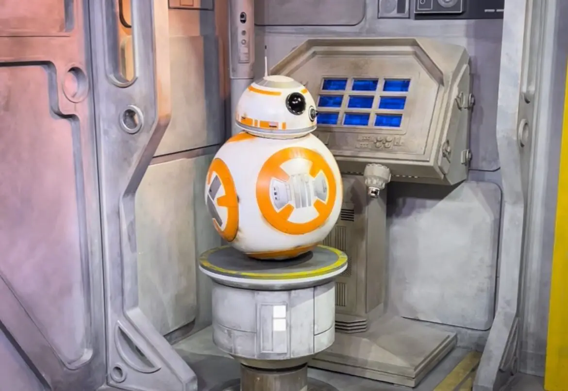 BB-8 Returns to Hollywood Studios 