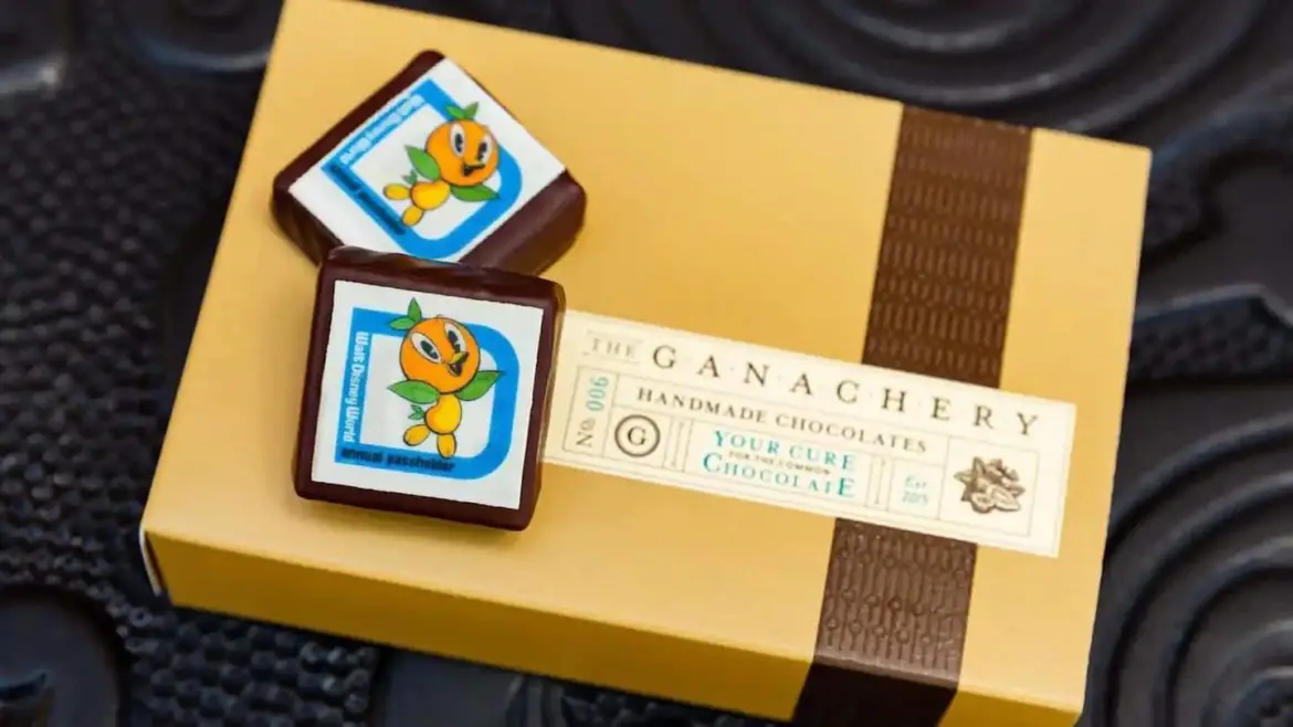 Don’t Miss This Special Orange Bird Ganache Square for Annual Passholders