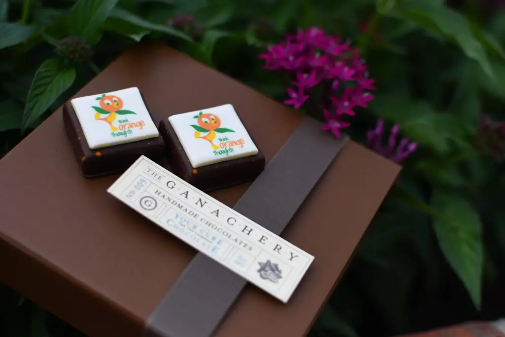 Don't Miss This Special Orange Bird Ganache Square for Annual Passholders
