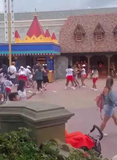 Video: Massive fight breaks out at the Magic Kingdom