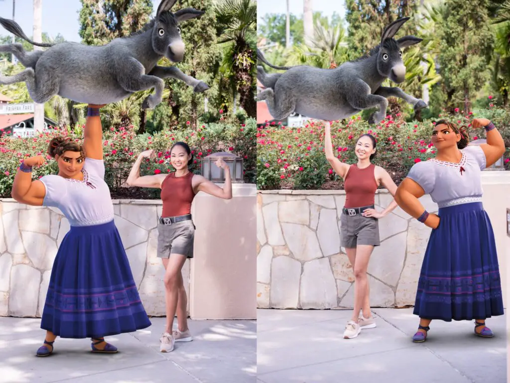 Current Magic Shots available at Disney's Hollywood Studios
