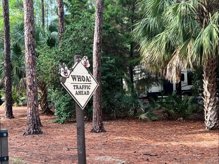 New Disneys Fort Wilderness 50th Anniversary Scavenger Hunt Chip And 