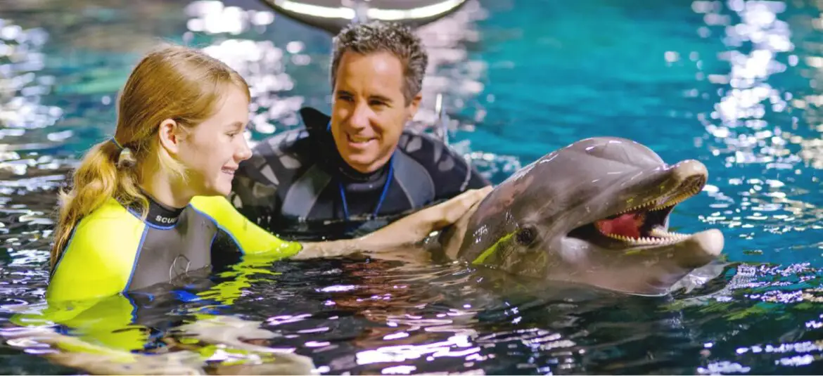 EPCOT Seas Adventures – DiveQuest & Dolphins in Depth returning in October