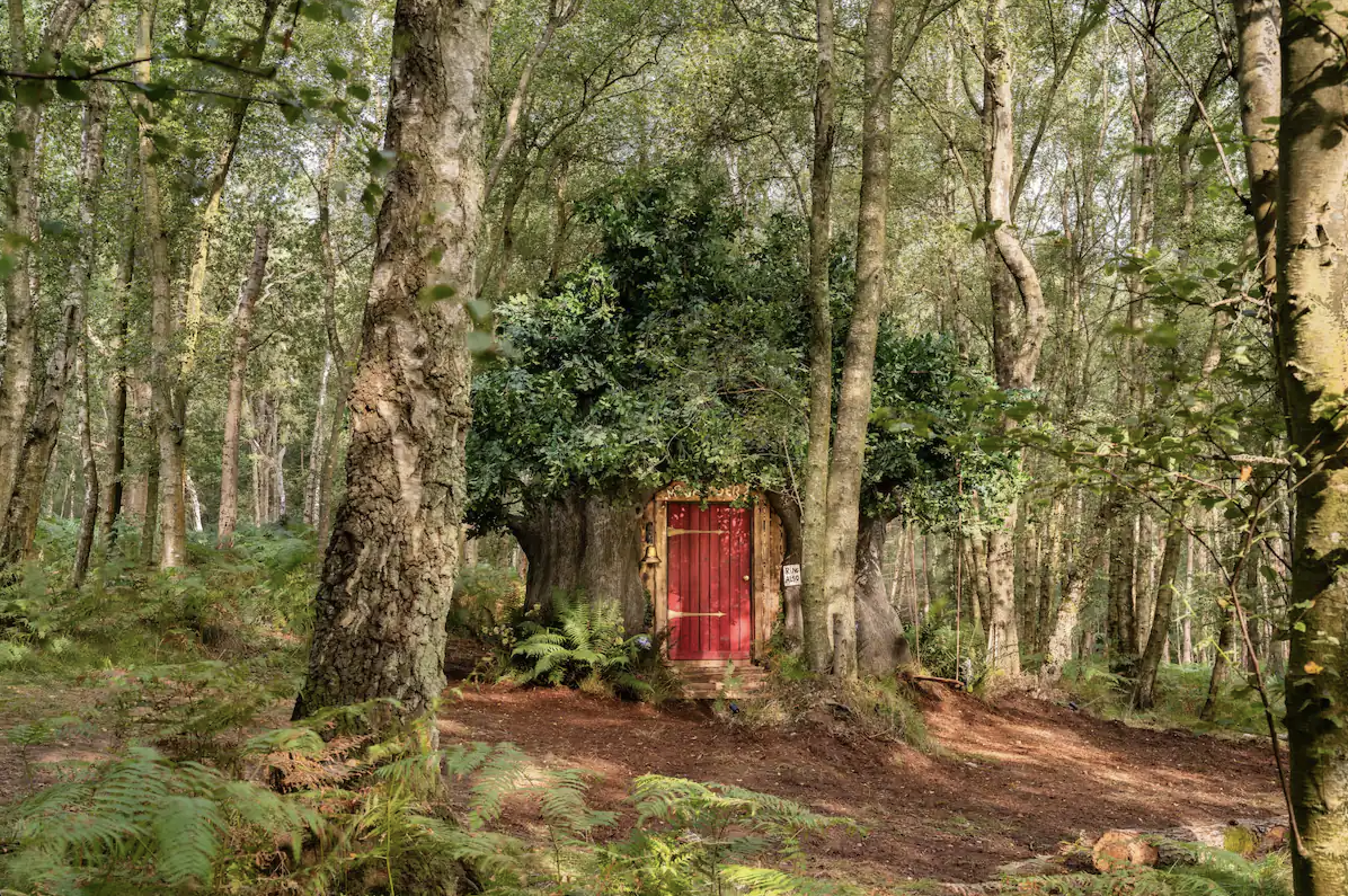 Airbnb Guests Can Stay in Disney's UK 'Winnie the Pooh' Treehouse