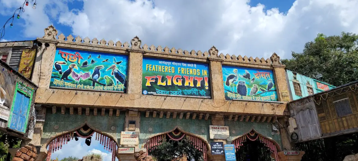 Feathered Friends in Flight in the Animal Kingdom closing for refurbishment in September