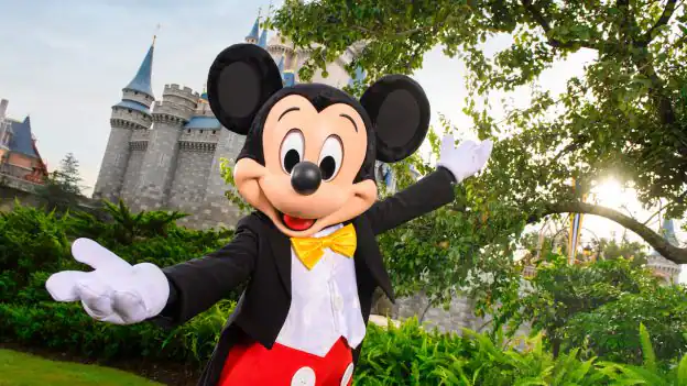 Disney is looking for 2023 planDisney Panelists