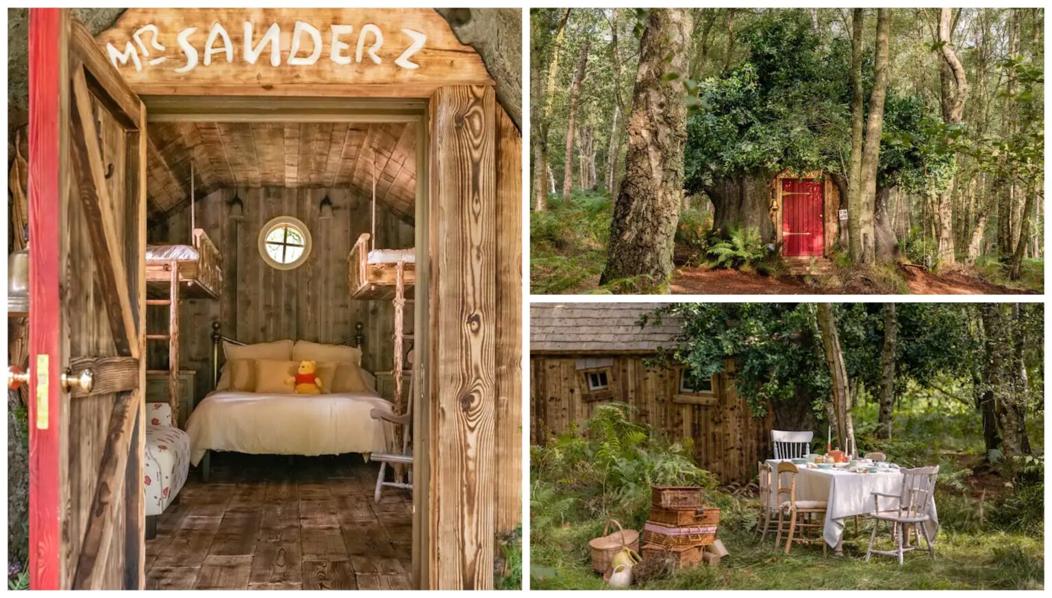 Airbnb Guests Can Stay In Disneys Uk Winnie The Pooh Treehouse Chip And Company 7595