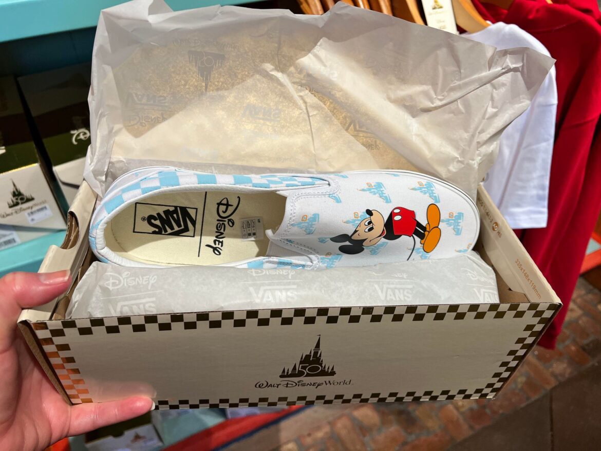 disney vans slides