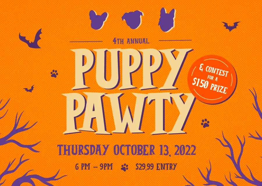 Museum of Illusions Orlando hosts 4th annual Puppy Paw-ty