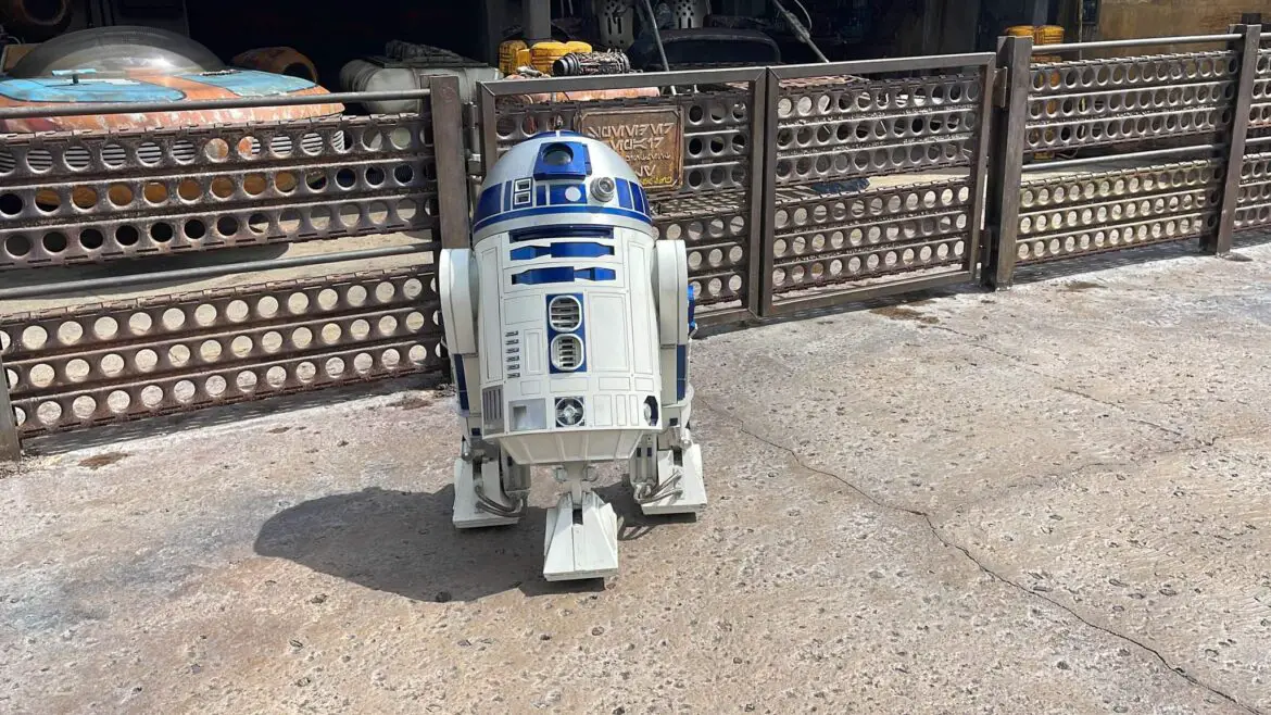 Rare R2-D2 Meet & Greet for Disney+ Day at Hollywood Studios