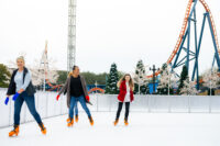 Holiday Season Returns for the Entire Family During SeaWorld Orlando