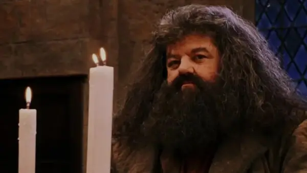 Cause of death for the late Robbie Coltrane has been revealed 