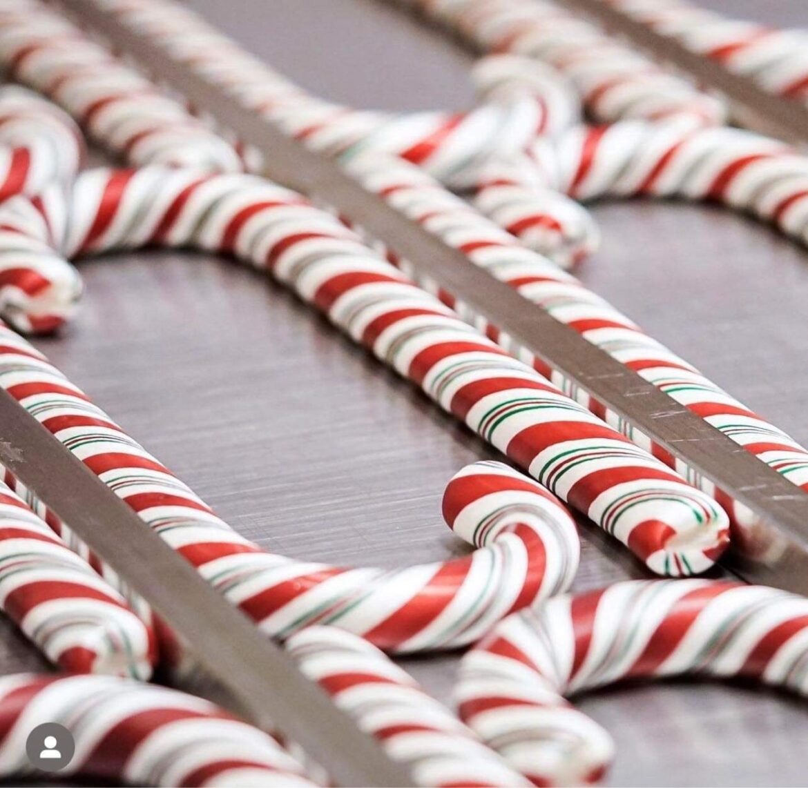 2022 Disneyland Candy Cane dates have been announced Chip and Company