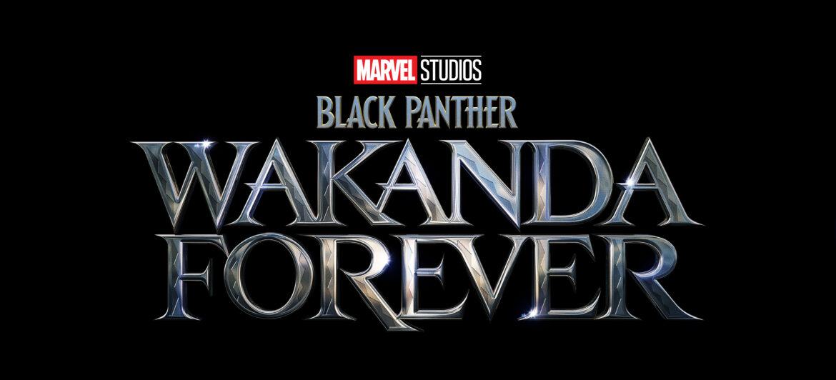 Black Panther: Wakanda Forever Pays Tribute to Fallen Hero