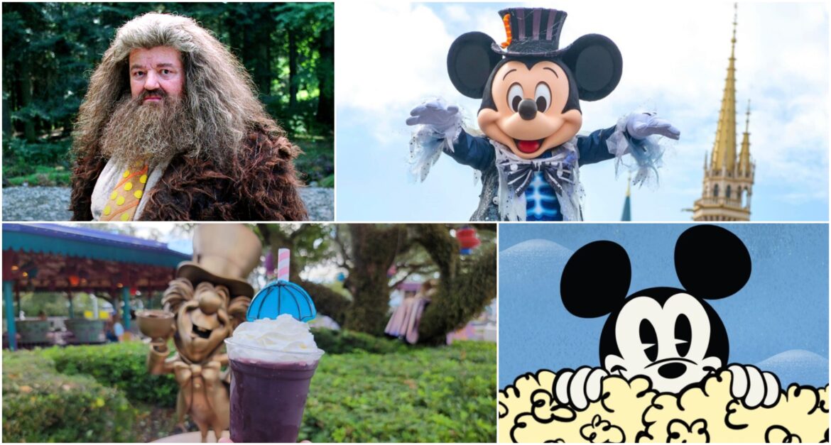 Disney News Round-Up: Harry Potter Legend Passes, New Snacks for the WDW 50th, Cool Ship has Reopened, New AP Popcorn Bucket is Coming Soon