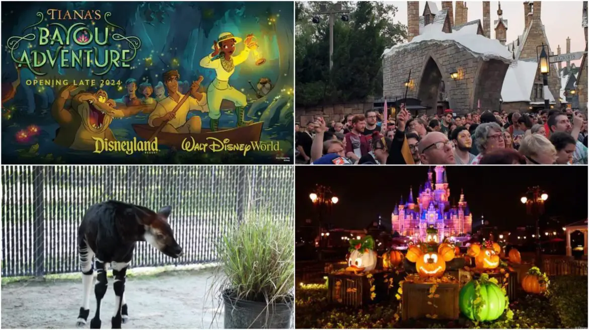 Disney News Round-Up: Baby News at Disney’s Animal Kingdom, Permits Filed for Tiana’s Bayou, Tie-Dye 50th Anniversary Spirit Jersey, Harry Potter Cast Remembers Late Star