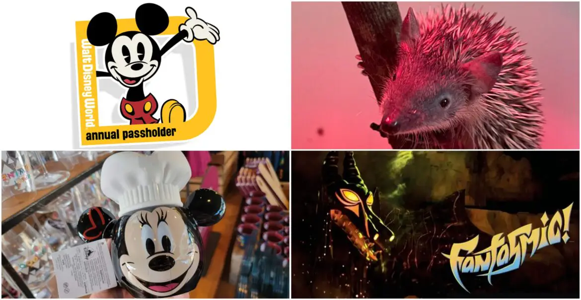 Disney News Round-Up: Fantastic Fantasmic News for Cast Members, Annual Passholders Suing Walt Disney World, Less Meet and Greets Ahead, Black Panther Wakanda Forever Food, and More Coming