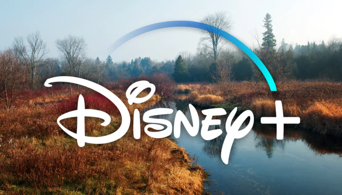 Everything Coming to Disney+ in November 2022