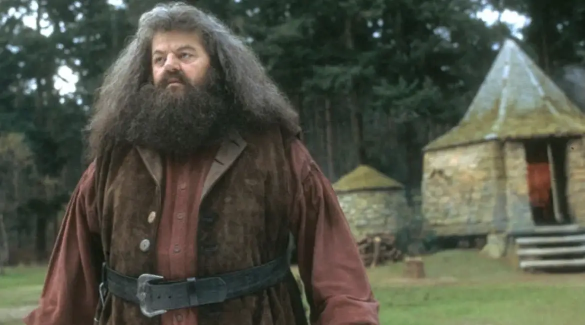 ‘Harry Potter’ Cast Remembers the Late Robbie Coltrane