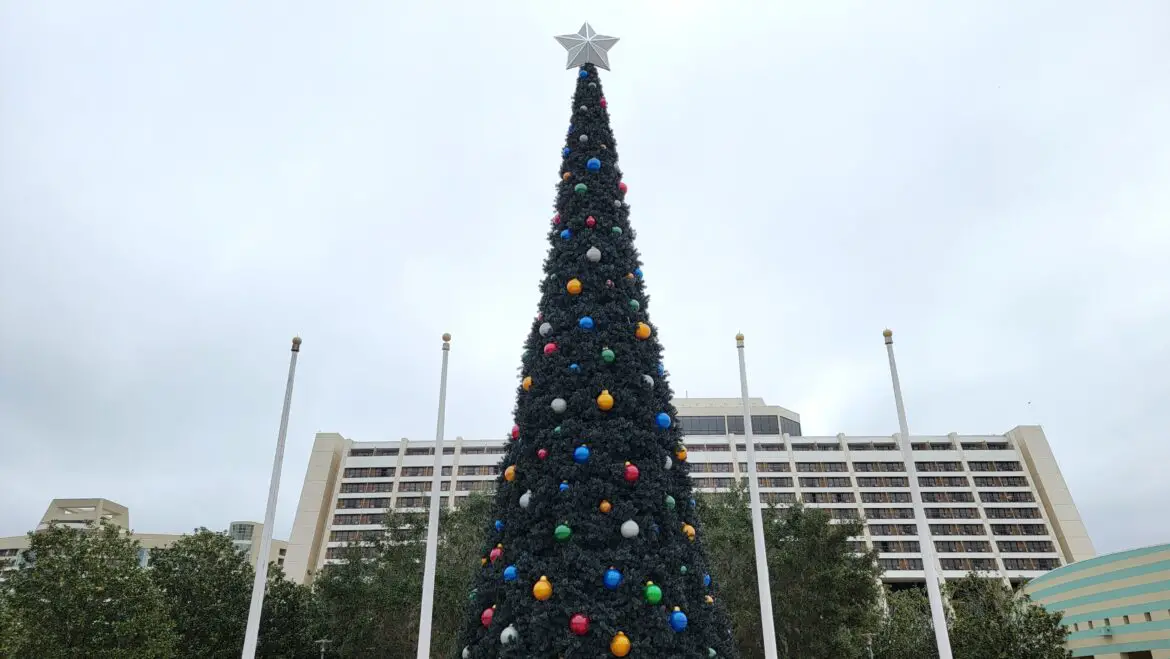 Disney’s Contemporary Resort Christmas Tree is up