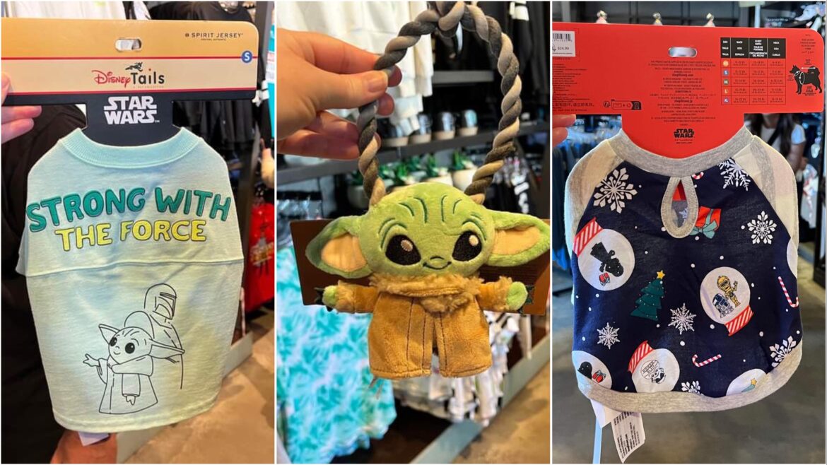 Star Wars Pet Merchandise Spotted At Disney Springs!
