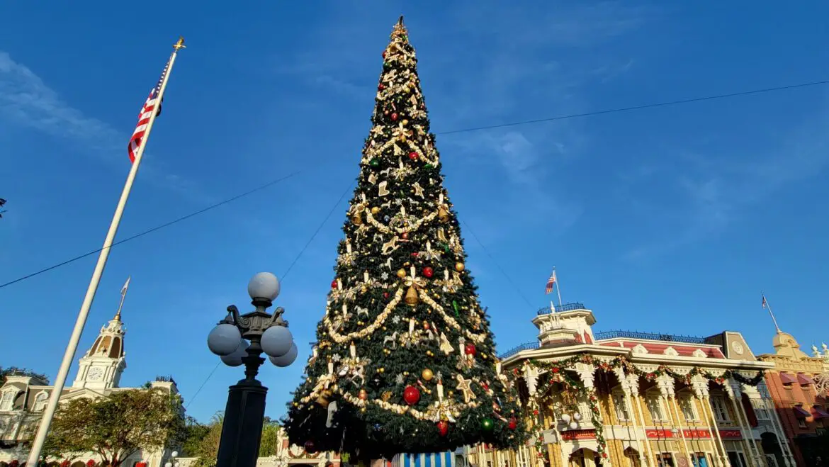 Giant Christmas Tree and More Holiday Decorations Arrive at the Magic Kingdom