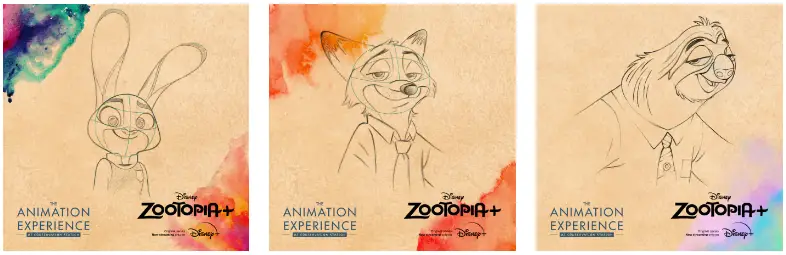 animation-experience