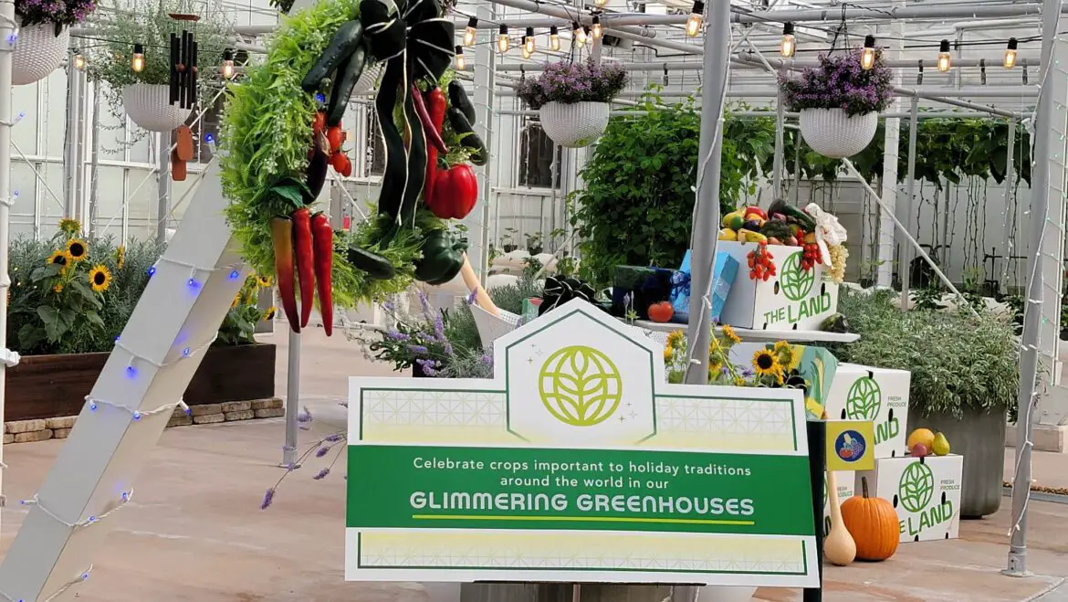 Disney’s Agricultural Sciences team decorates the greenhouses for Living with the Land Holiday Overlay
