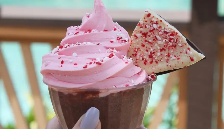You Have To Try This Holiday Frozen Hot Chocolate Float at Disney Springs