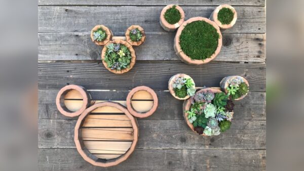 Mickey Mouse Succulent Vertical Planter 