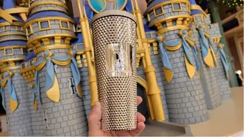 PHOTOS: NEW Disney100 Partners Starbucks Tumbler Now Available 