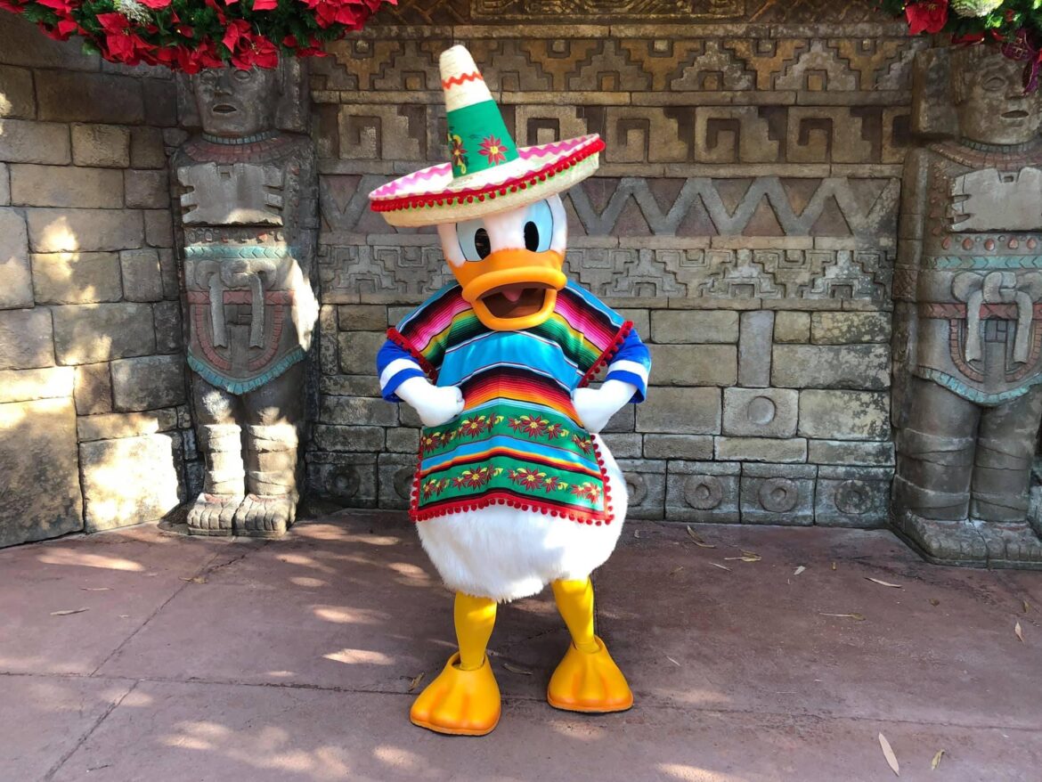 Donald Duck looks pretty Festive for the Holidays in Epcot
