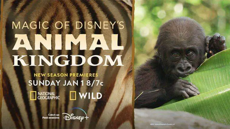 Magic of Disney’s Animal Kingdom Season 2 Returns to Disney+ in January