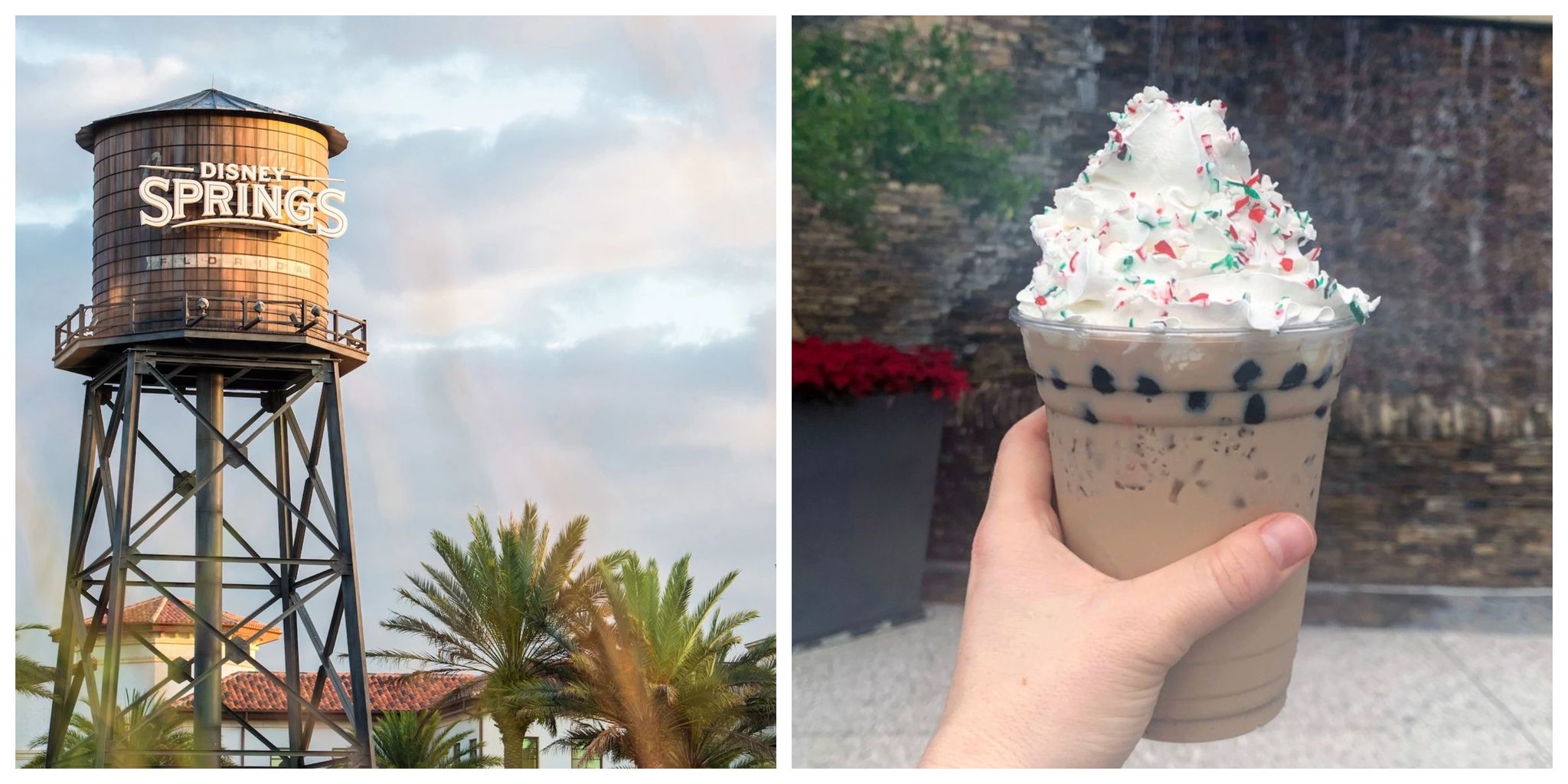 Holiday Peppermint Chocolate Milk Boba Tea In Disney Springs Will Get