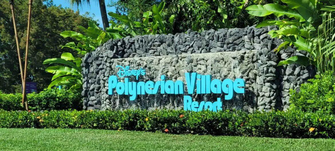 Disney’s Polynesian Village Resort Lava Pool Slide will Close for Refurbishment in January