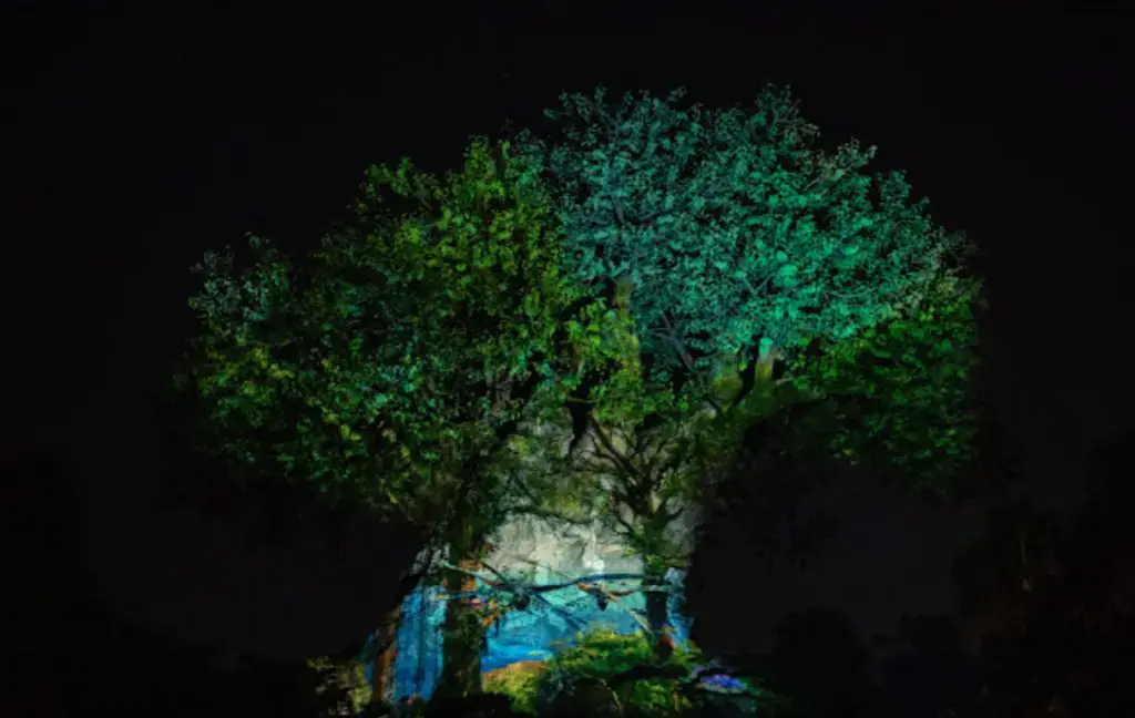 NEW Avatar: The Way of Water Tree of Life Awakenings Show Coming to Disney’s Animal Kingdom