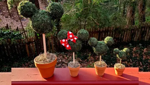 Mickey And Minnie Mouse Topiaries 