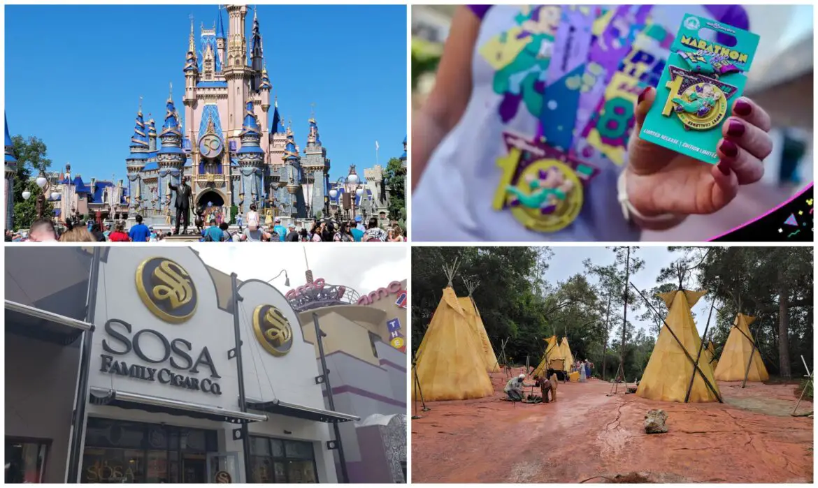 Disney News Round-Up: Arrest of Former Cast Member, Lockers Could be New to Magic Kingdom, 60 People Rescued from The Wheel, 2022 Top Merch