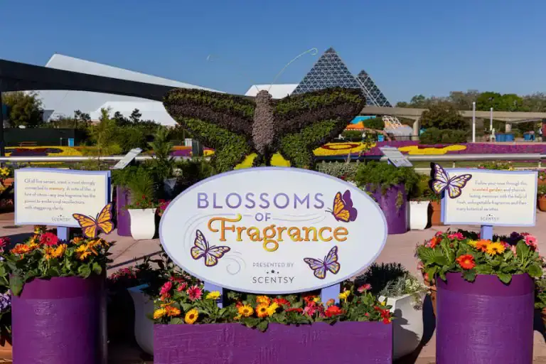 Scentsy-Blossoms-of-Fragrance