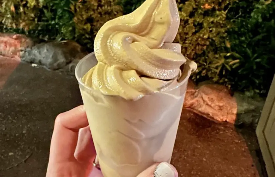 Salted Caramel Soft-Serve Ice Cream at Refreshment Outpost in EPCOT
