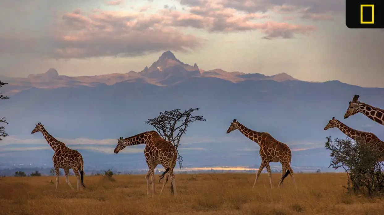 National Geographic Expeditions Announces 2024 Signature Land Trips