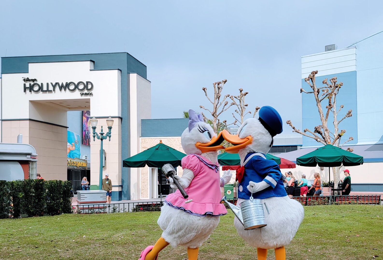 Spring is in the air with Donald & Daisy Meeting in new Location in Hollywood Studios