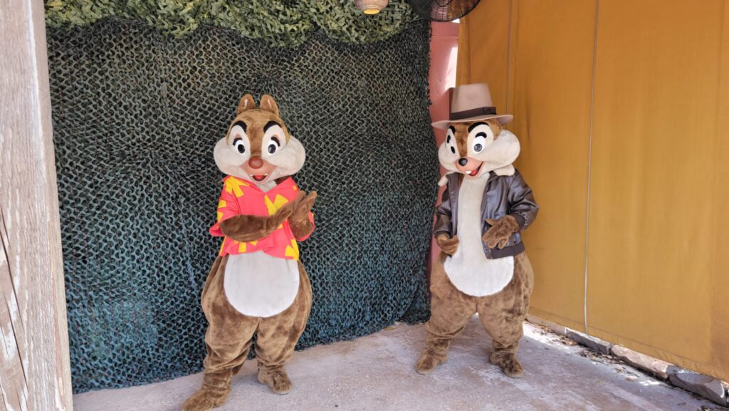 Chip & Dale Rescue Rangers Greeting Guests in Hollywood Studios