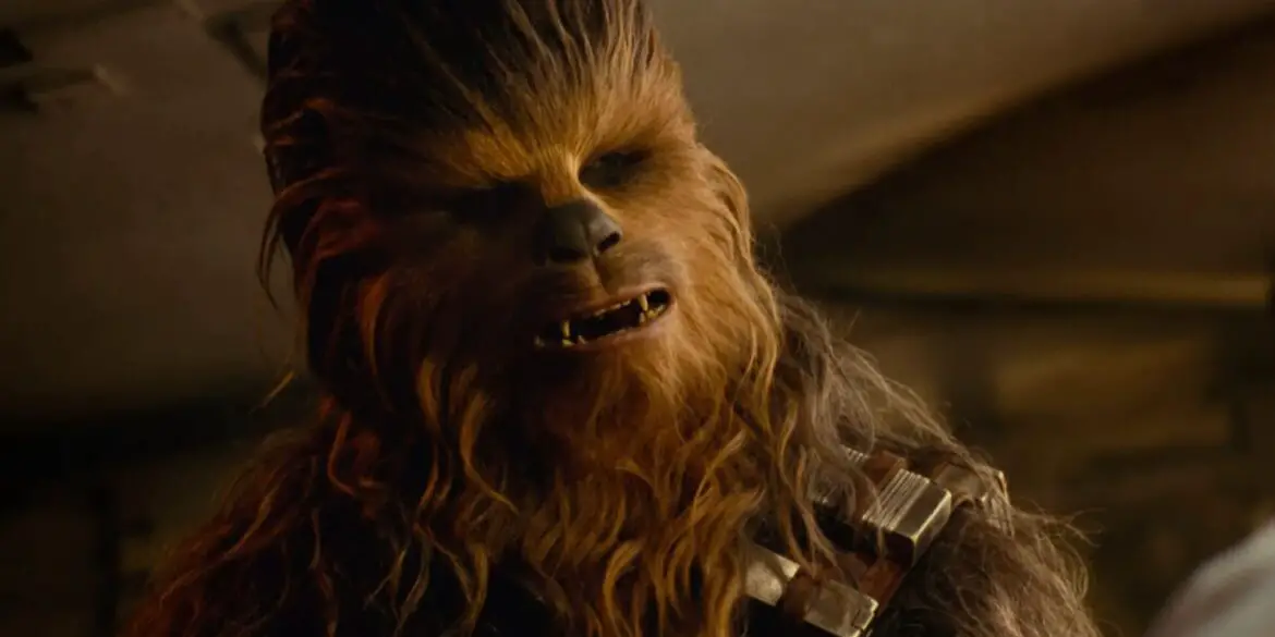 Chewbacca actor Peter Mayhew’s Family Nearly Lost his Star Wars Memorabilia in an Auction