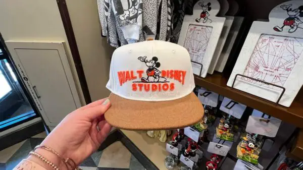 Walt Disney Studios Collection